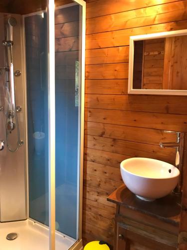 y baño con ducha y lavabo blanco. en Le Domaine du Scorff - hébergements insolites chalets et roulottes, en Kernascléden