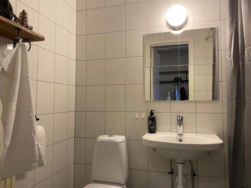 a bathroom with a toilet and a sink and a mirror at Lokatten Wärdshus in Los
