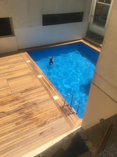 a dog in a swimming pool with blue water at Laplaya Apppart Hotel in Tangier