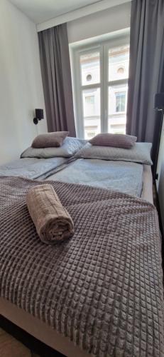 2 Betten in einem Schlafzimmer mit 2 Fenstern in der Unterkunft Apartament Książ in Świebodzice