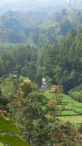 a view of a lush green valley with trees at Mountain Ecolodge in Gubukklakah