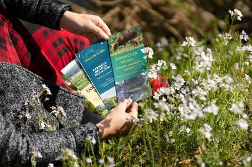 a person reading a book in a field of flowers at Domačija Vesel in Trebnje