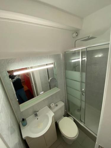 une salle de bain avec toilettes, lavabo et miroir dans l'établissement Rouen galerie 112, à Rouen