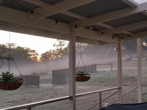 une terrasse couverte avec deux plantes en pot et un champ dans l'établissement Galah Cottage Stanthorpe, à Dalveen