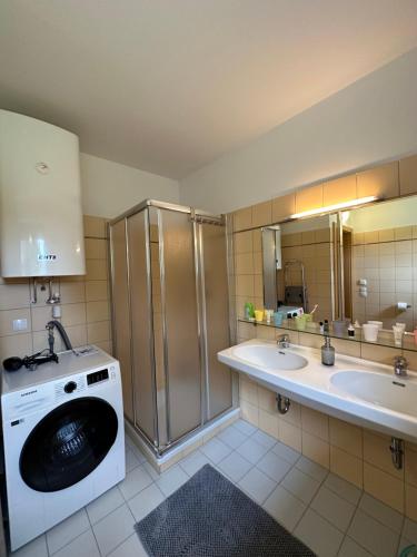 ein Badezimmer mit einer Waschmaschine und einem Waschbecken in der Unterkunft Appartment Rosennock in Sankt Oswald