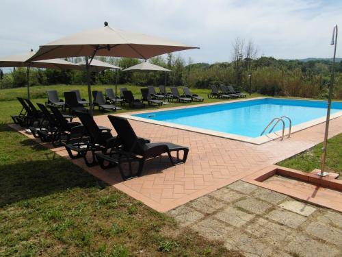 a swimming pool with chairs and umbrellas next to at Il Poggio di San Ruffino in Lari