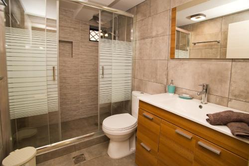 a bathroom with a toilet and a shower and a sink at Marialenas House - Stone House at Myrties Beach Kalymnos in Myrties
