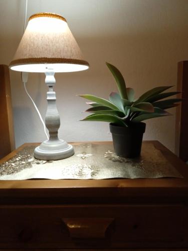 a lamp and a potted plant on a table at Villa sunset Antigoni in Kallirákhi