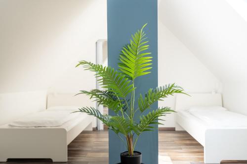 a palm plant in a room with a couch at XXL Superior Apartment 2 - 9 Personen in Castrop-Rauxel