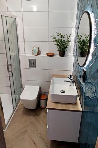 a bathroom with a sink and a toilet and a mirror at Apartamenty Przy Wydmie Dębina in Debina