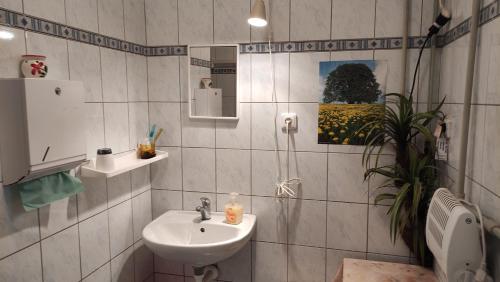 een badkamer met een wastafel en een toilet bij Appartement Camping Paradijs in Zlatá Koruna