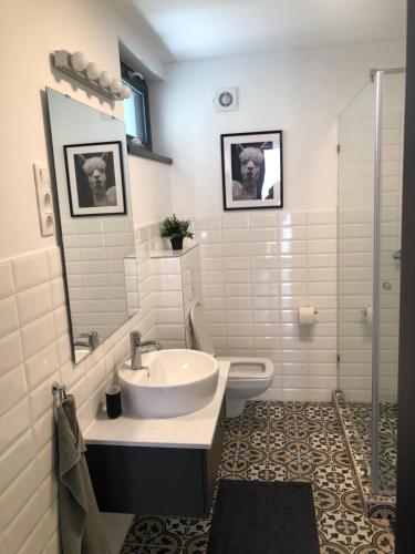 ein Badezimmer mit einem Waschbecken, einem WC und einem Spiegel in der Unterkunft SBM Apartman in Balatonfüred