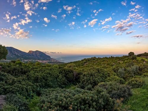 een uitzicht op een bos met bergen op de achtergrond bij Hotel Pranos Turismo Rurale Cala Gonone in Cala Gonone