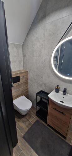 a bathroom with a toilet and a sink and a mirror at Apartament Książ in Świebodzice