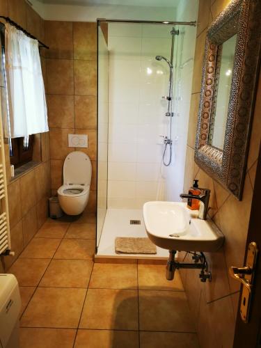 a bathroom with a toilet and a sink and a shower at Krasen Kras Apartment in Komen