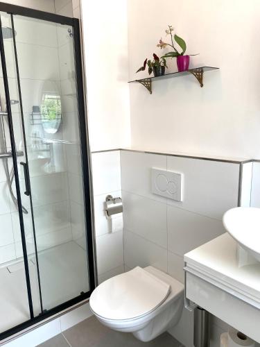 a white bathroom with a toilet and a shower at Tiziana's Herberg in Zierikzee