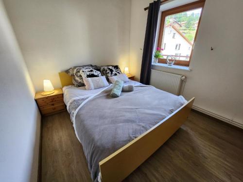 1 dormitorio con 1 cama grande y ventana en Gite Bruyère 2 à 5 pers dans Residence des Buis avec SPA en Ventron