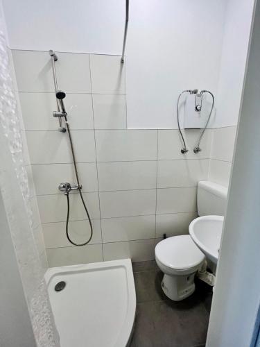 a bathroom with a toilet and a sink and a shower at Neuwertiges Apartment mit schnellem WLAN, Glasfaser, Kostenlose Privatparkplatz auch für Transporter geeignet R20 in Freiberg am Neckar