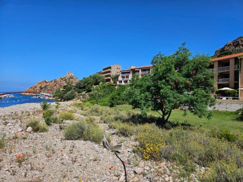 a tree on a hill next to a building at Le Marina in Porto Ota