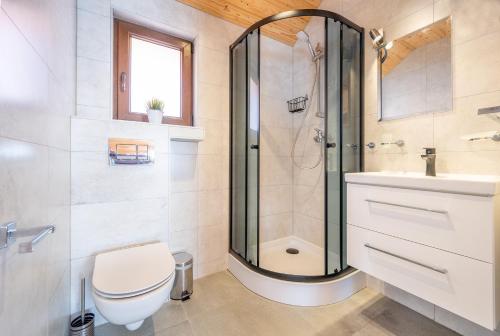 a bathroom with a shower and a toilet and a sink at Uroczy Zakątek 2 in Chłopy