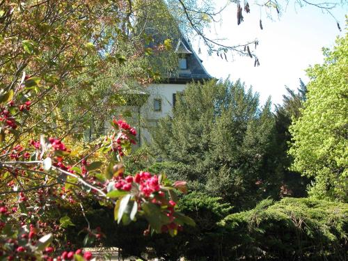 Gallery image of Domaine de Beaupré - Hotel The Originals Relais in Guebwiller
