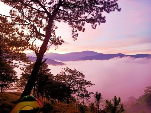 a view of a mountain with a tree and a tent at IYAMAN FARM NEAR SAGADA MOUNTAIN PROVINCE, PH 