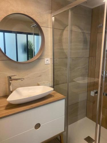 une salle de bain avec un lavabo et un miroir dans l'établissement A lombre du magnolia, à LʼIsle-sur-la-Sorgue