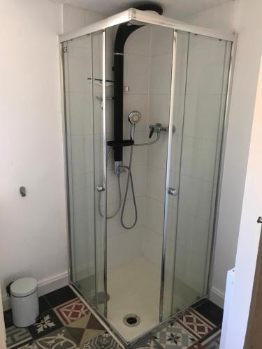 una doccia con box in vetro in un bagno di Gemütliche Ferienwohnung an der Elbe a Bleckede