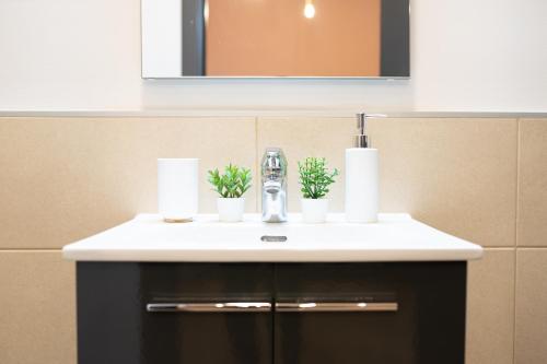 a bathroom sink with two plants on top of it at Three Cities Guest House in Cospicua