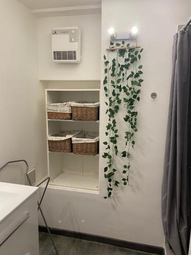 une chambre avec une étagère et une plante sur le mur dans l'établissement Appartement Marseille 12 Calme transport à proximité., à Marseille