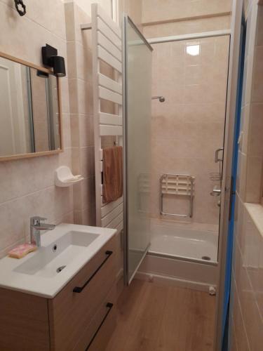 une salle de bain avec une douche, un lavabo et une baignoire dans l'établissement Gite Ancien Lavoir, à Viserny