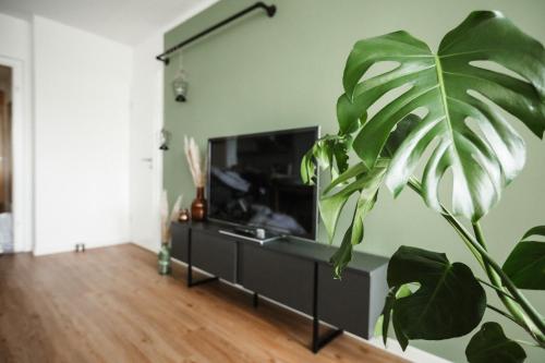 a living room with a flat screen tv and a plant at NEU, Superior Apartment 252, Oberharz, mit Schwimmbad und Sauna in Braunlage
