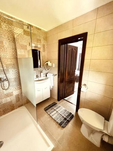 a bathroom with a shower and a toilet and a sink at Vila SOFIA in Haţeg