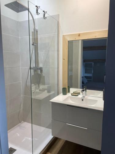 La salle de bains est pourvue d'une douche en verre et d'un lavabo. dans l'établissement STUDIO 40 m² avec parking, à Montauban