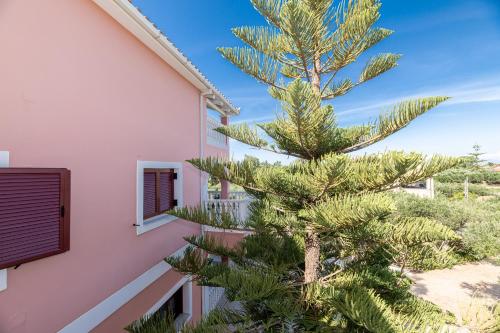 a pine tree next to a building with a window at Arazzo Apartments in Vasilikos