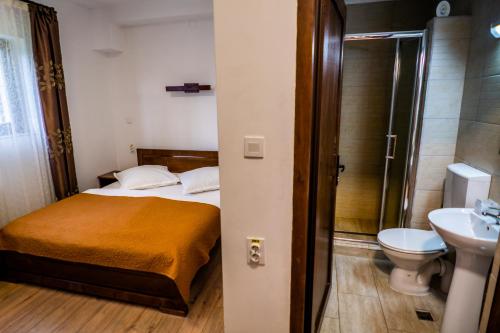 Koupelna v ubytování Pensiunea Romconcord