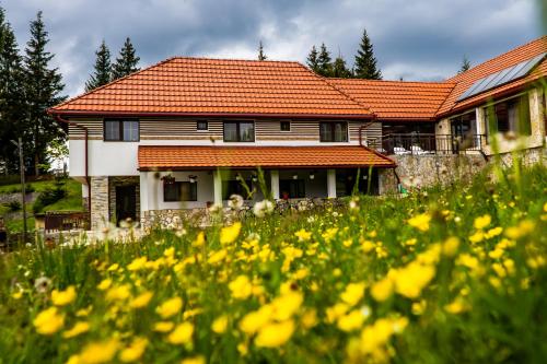 BălceştiPensiunea Romconcord的相册照片