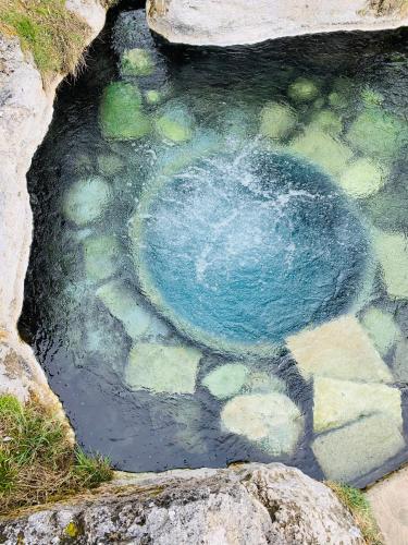 a painting of a blue frisbee in a pond at SOMTU design apartments in Liptovský Ján