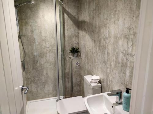 y baño con ducha, lavabo y aseo. en City Centre Premier Top Floor Executive 2 Bed Apartment, en Sunderland