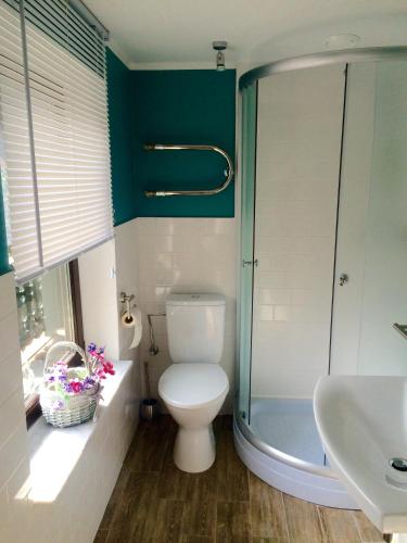 a bathroom with a toilet and a shower and a sink at Bergbach in Ramsau
