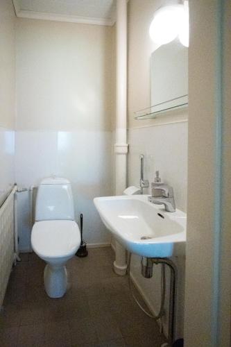 a bathroom with a white toilet and a sink at Villa Signell Förby in Särkisalo