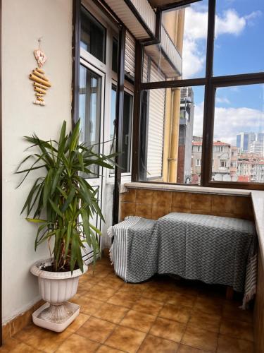 - Balcón con cama y maceta en Cosy Home with Bosphorus View, 2BR, en Estambul
