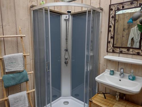 una ducha con una puerta de cristal junto a un lavabo en Vrijstaande accommodatie Glamping de Kas InN, en Hank