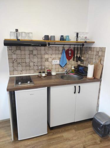 a kitchen with a sink and a counter top at Nikolića kuća in Mitrovac