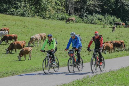 three people riding bikes on a road with cows at Holiday House Radovna Bled in Zgornje Gorje