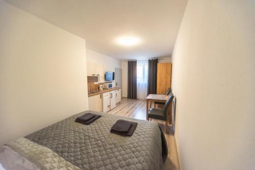 1 dormitorio pequeño con 1 cama y cocina en Penzion u Vadovičů, en Šatov