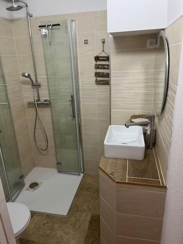 La petite salle de bains est pourvue d'une douche et d'un lavabo. dans l'établissement Maison climatisée avec piscine, terrasse et place de parking privative, à Saintes-Maries-de-la-Mer