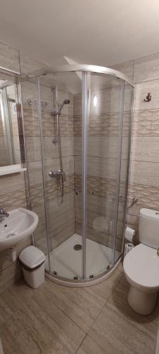 a bathroom with a shower and a toilet and a sink at Timbi Vendégház in Vonyarcvashegy