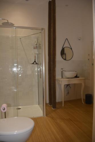 y baño con ducha acristalada y lavamanos. en Le boudoir de Yaya, en Cosne-Cours-sur-Loire
