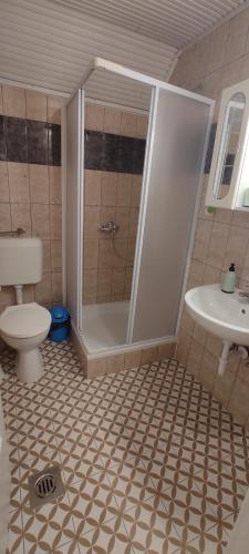 a bathroom with a shower and a toilet and a sink at Timbi Vendégház in Vonyarcvashegy